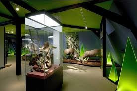 1- متحف بيت الطبيعة في سالزبورج – النمسا 