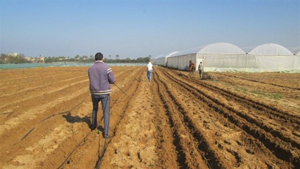 «رئيس بحوث الصحراء» يطلق الخطة البحثية الجديدة لتحقيق التنمية الزراعية