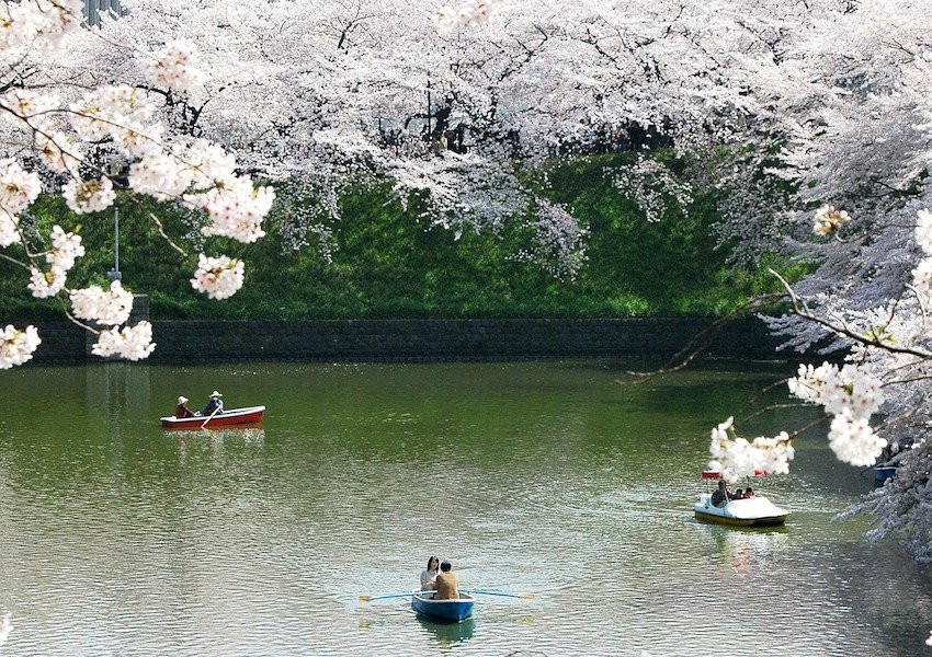 مادة حب الطبيعة اليابان