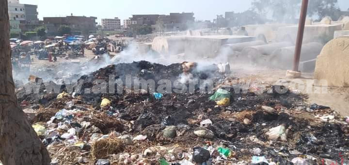القمامة تحاصر قرية الشوكة البلد بالبحيرة 