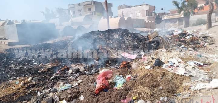 القمامة تحاصر قرية الشوكة البلد بالبحيرة 