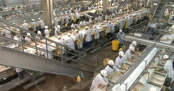 عمال مصنع أصيب 1000 من عامليه