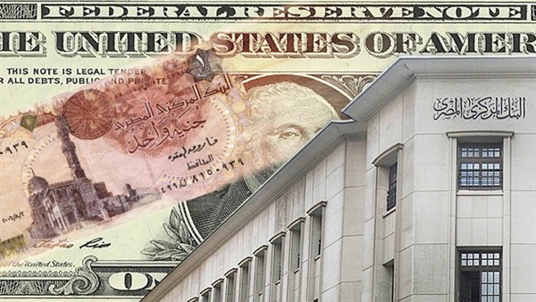 تعويم الجنيه في عيون الخبراء.. برلماني: يجذب الاستثمارات.. الفقي: لابد من زيادة الاحتياطي لـ25 مليار دولار قبل التنفيذ