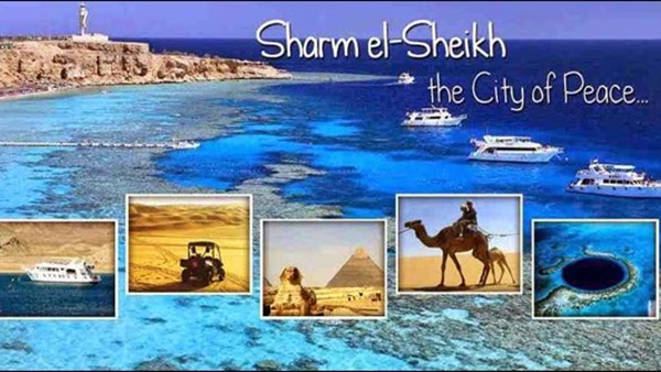 القيمة المضافة تهدد شركات السياحة.. شعبة السياحة الحكومة تأخذ ضرائب مرتين على التذاكر.. والضرائب: العمولة وفقا للقانون