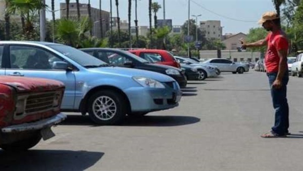 شروط العمل في مهنة السايس(فيديو)