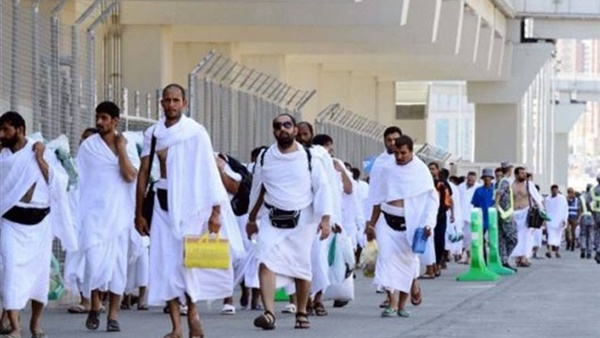 التضامن: وصول 7267 من الحجاج إلى الأراضى المقدسة حتى الآن