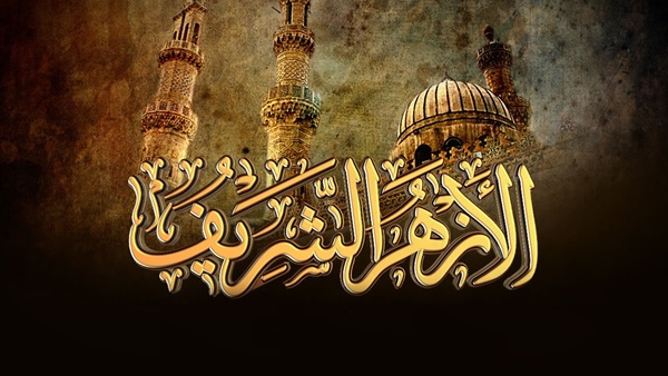 انتخاب ممثل الأزهر الشريف عضوا في اللجنة التوجيهية لمنتدىالحوار الأفريقي