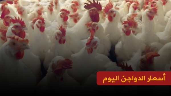 أسعار الدواجن اليوم الجمعة 7-12-2018