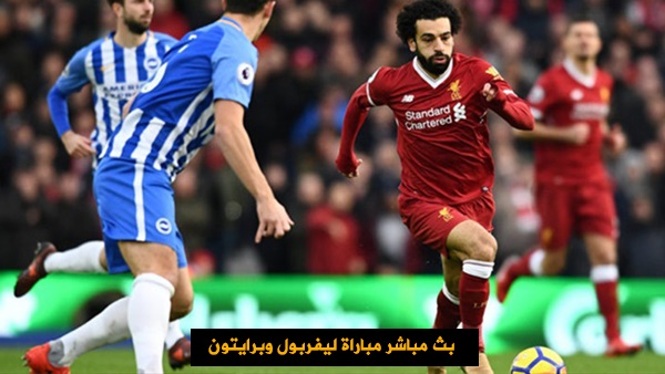 بث مباشر مباراة ليفربول وبرايتون | مشاهدة مباراة ليفربول اليوم | مشاهدة مباراة ليفربول وبرايتون اليوم مباشر | مشاهدة مباراة