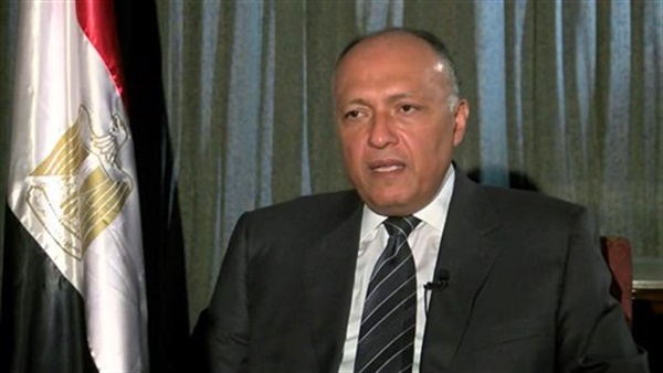 سامح شكرى، وزير الخارجية