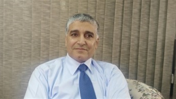 رجال الأعمال: مصر بحاجة لقاعدة معلوماتية للقضاء على قصور الاستثمارات في الدول الافريقية