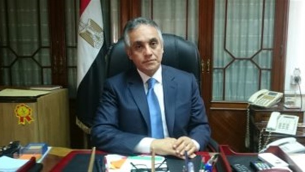 الوطنية للانتخابات: الهيئة هي الجهة الوحيدة المنوط بها إعلان نتائج استفتاء دستور 2019