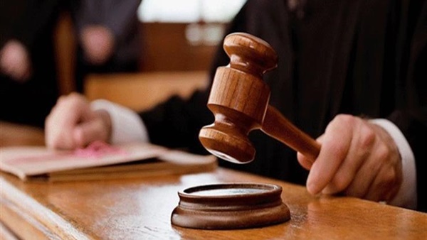 25 مايو.. أولى جلسات محاكمة ضابط سابق ومحام وطبيب و13 آخرين لاتهامهم بتشكيل خلية إرهابية