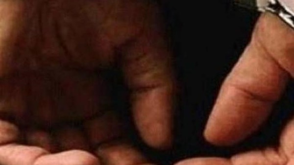 حبس خفير فيلا التجمع 6 أشهر في واقعة هجوم كلبين على ضابط شرطة