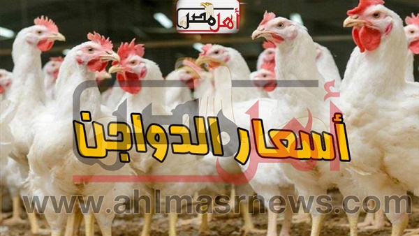 أسعار الدواجن اليوم الخميس 16مايو 2019 بالأسواق
