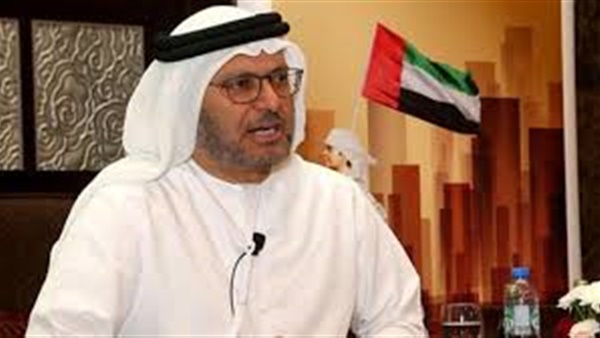 وزير الدولة الإماراتي للشئون الخارجية أنور قرقاش