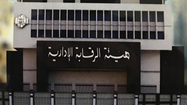 الرقابة الإدارية: مصر عرضت على الدول الإفريقية تجربتها في مكافحة الفساد (فيديو)