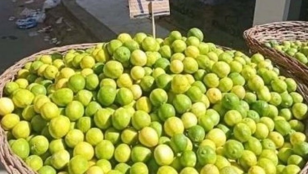 بعد ارتفاع أسعاره.. دراسة: الليمون يحارب العجز الجنسي