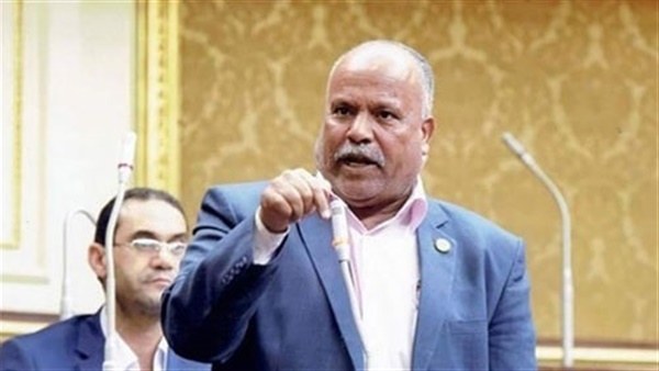 التجريف والصيد الجائر.. نائب البحر الأحمر يتقدم بطلب لمناقشة عامة حول تراجع الثروة السمكية