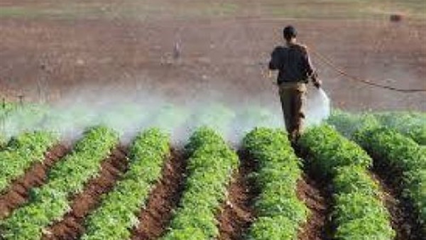 المبيدات المستخدمة لمكافحة الحشائش الحولية في الذرة الشامية