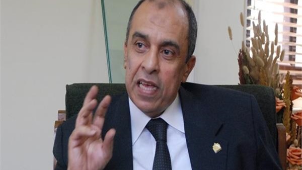 الدكتور عز الدين أبو ستيت وزير الزراعة واستصلاح الأراضي