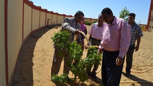 انطلاق مبادرة "مدارس الوادى الخضراء"