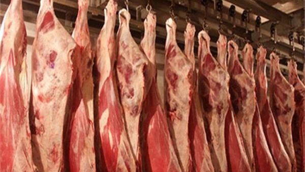 تراجع أسعار اللحوم بعد أسبوع من ارتفاع الوقود.. الكندوز بـ100 والبتلو بـ110