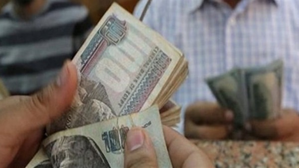 ازاي تعرف نسبة الخصم التأميني من راتبك بعد إقرار قانون المعاشات الجديد