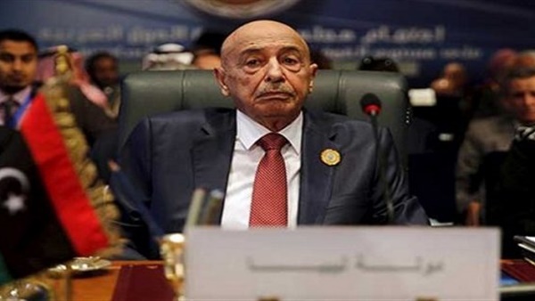 وصول عدد من النواب الليبي إلى القاهرة فى إطار الجهود المصرية لتوحيد الرؤى