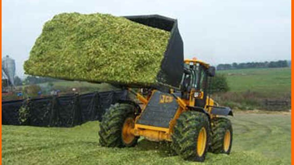 عملية الفرم