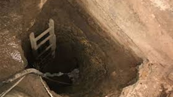 هيئة قضايا الدولة