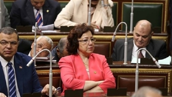 المهندسة فايقة فهيم، عضو مجلس النواب