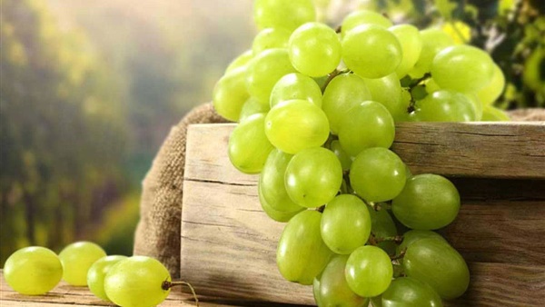 فوائد العنب..مضاد للالتهابات ويعزز صحة القلب والشرايين
