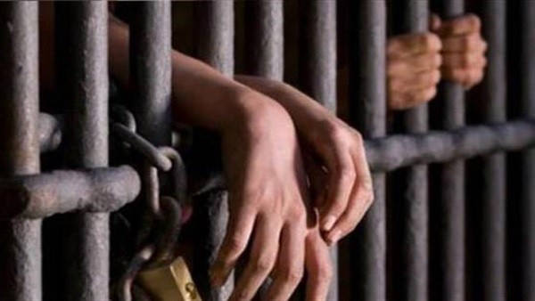 5 رءوس ماشية و600 صندوق رنجة ضمن غنائمهم.. حبس عصابة النصب على الشركات بالجيزة 4 أيام