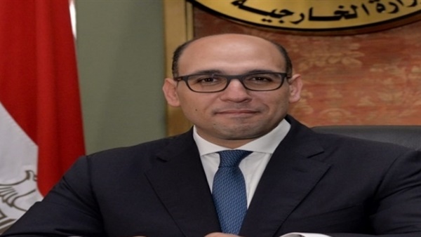 مصر تدعو الأمم المتحدة لتكثيف الانخراط مع الممثلين المنتخبين للشعب الليبي لتسوية الأزمة
