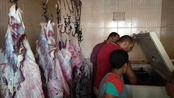 تحرير 16 محضرًا لمنشآت غذائية بمركز سمسطا ببني سويف