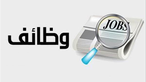 المرتب 2300 جنيه.. وزارة الشباب والرياضة تعلن عن وظائف خالية