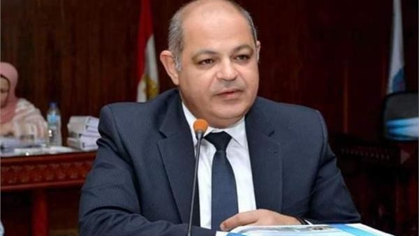 محافظ الغربية يأمر بتشكيل لجنة هندسية لمعاينة منطقة العقار المنهار بالمحلة