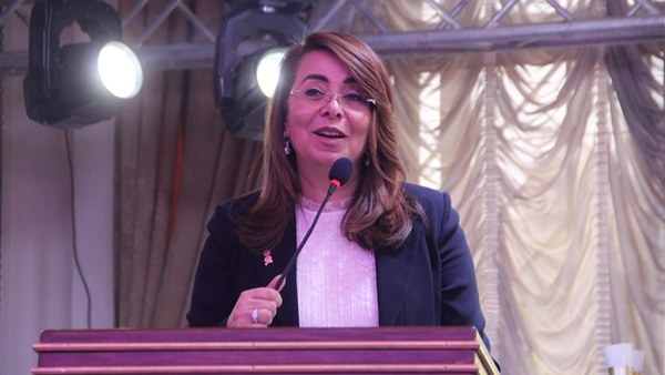 غادة والي، وزيرة التضامن الإجتماعي