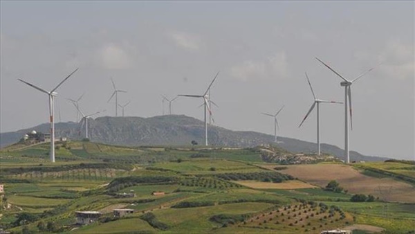 صورة أرشيفية