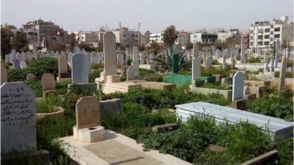 دار الإفتاء: يجوز زراعة الأشجار داخل القبور