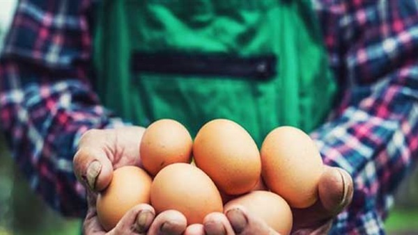 رجل يموت قبل أن يُنهي تحدي أكل الـ50 بيضة