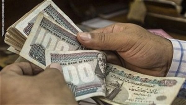 أول إجراء من محافظة الجيزة لتطبيق الحد الأدنى للأجور