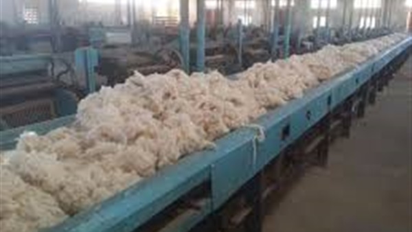 مدير محلج الفيوم: التكنولوجيا الحديثة ستدعم المنتجات المصرية في الأسواق العالمية