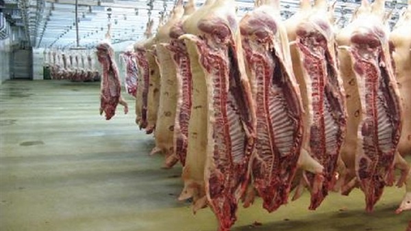 أسعار اللحوم اليوم الخميس 14 نوفمبر2019.. الكندوز يسجل 120 جنيها