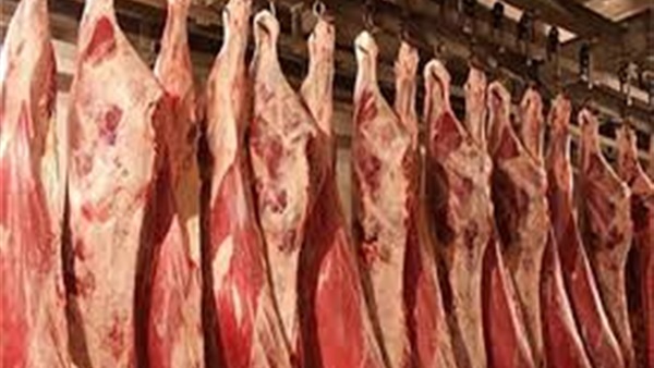 أسعار اللحوم اليوم الأحد 17 نوفمبر 2019.. الكندوز يتجاوز الـ 90 جنيها