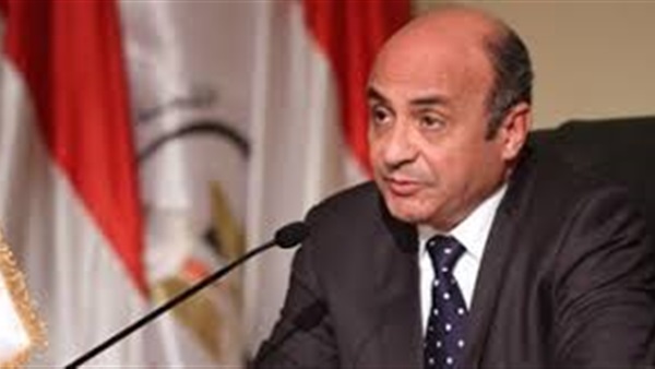 وزير شؤون مجلس النواب: مفيش تعذيب في السجون (فيديو)