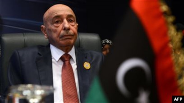 رئيس مجلس النواب الليبي، عقيلة صالح