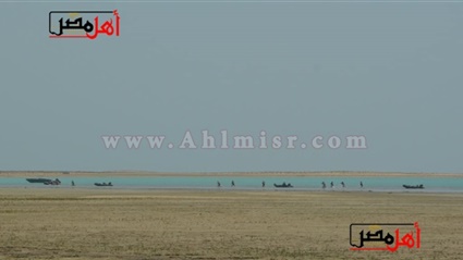 صور| السيسي والزعماء