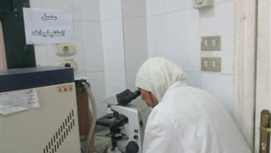 صحة بني سويف تدفع